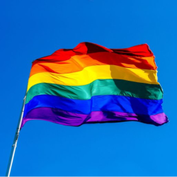 Test pride flag inage